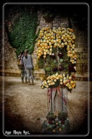 /album/fotogaleria-girona/anna-flors-girona-198-inpixio-640x480-jpg/